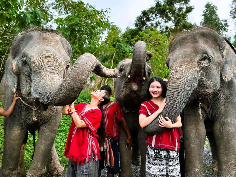 Phuket : Experience feeding and bathing elephants 1.5 Hrs. - Arriving at Kerchor Elephant Family Phuket
