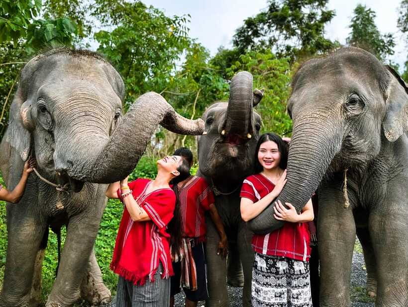 Phuket : Experience feeding and bathing elephants 1.5 Hrs. - Practical details that make the day easier
