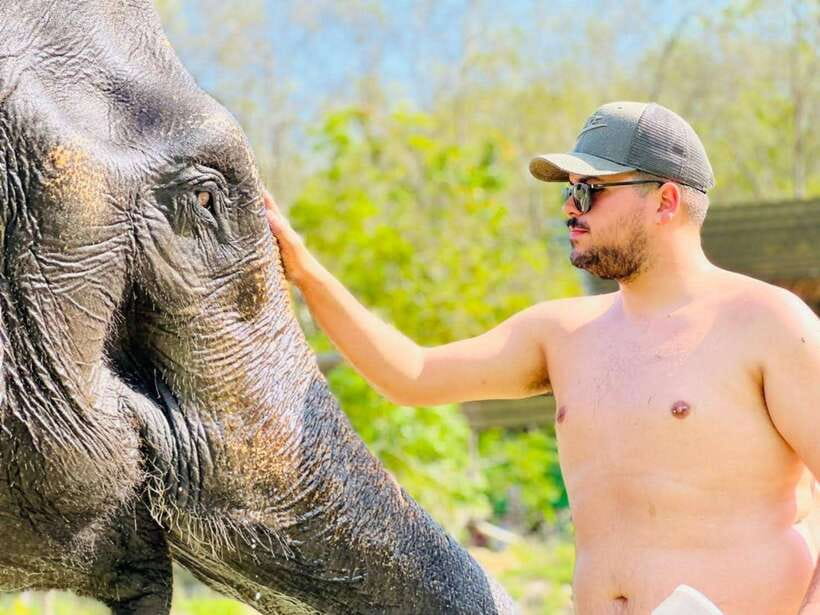 Phuket: Feeding Elephants at Phuket Elephant Care - Is $41 good value for one hour?