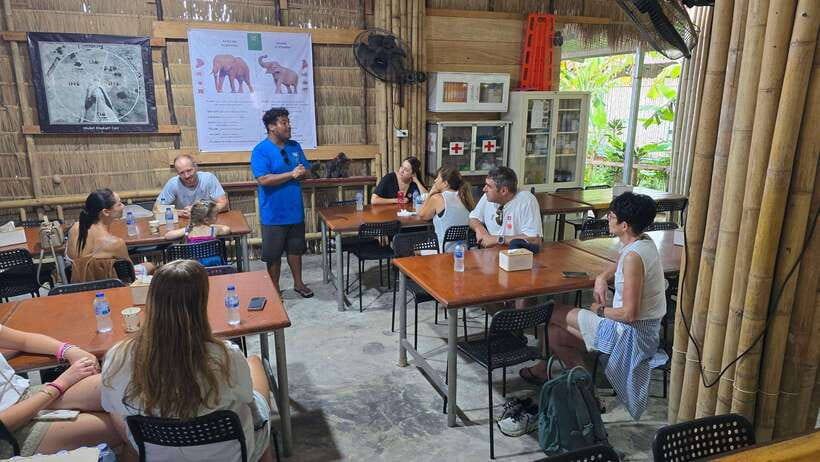 Phuket: Feeding Elephants at Phuket Elephant Care - Arriving at Loch Palm or Naithon camp