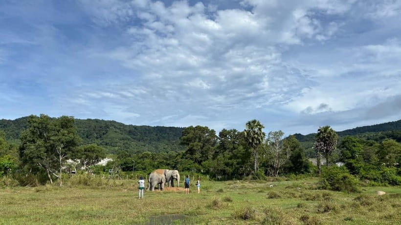 Phuket: Freedom Elephant Reserve - Ethereal Nature Walk - Sand, skin care, and a little elephant play