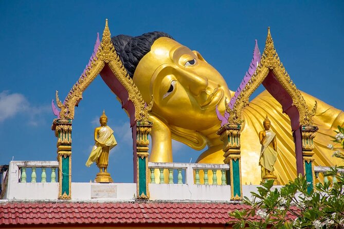 Phuket Giant Water Lilies & Temple Tour - Private & All-Inclusive - Transport, comfort, and the five-hour pace