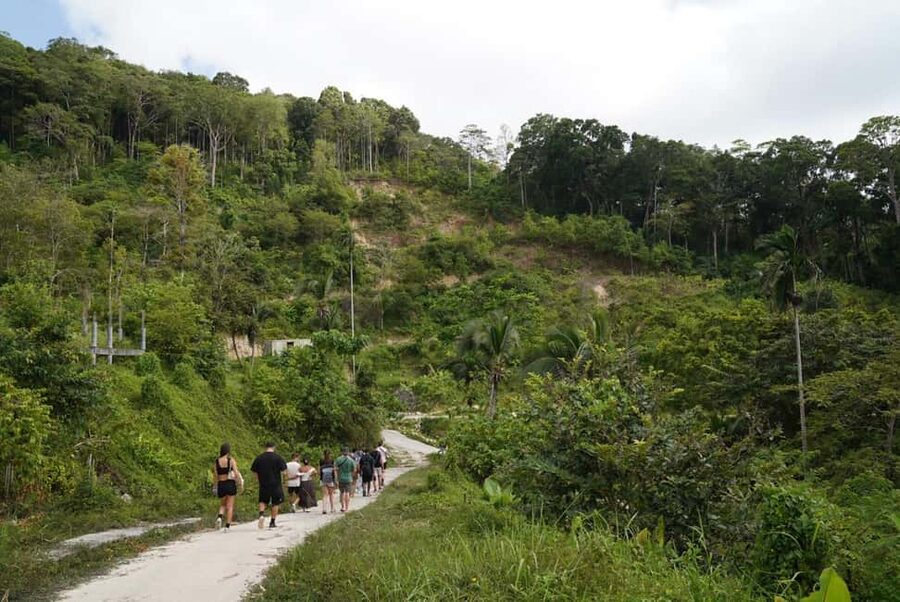 Phuket: Guide Tour to Patong Elephant Sanctuary - The transfer from Patong and the time question