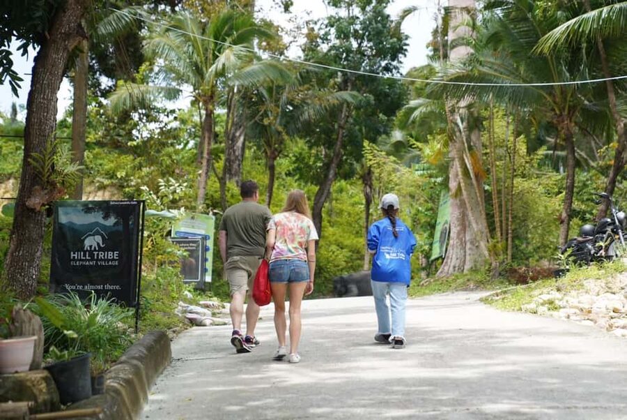 Phuket: Guide Tour to Patong Elephant Sanctuary - A new sanctuary with a simple setup
