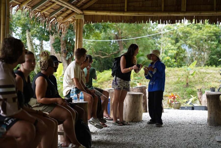 Phuket: Guided Tour to Elephant Sanctuary & Hotel Transfer - Meeting the elephants without a circus show