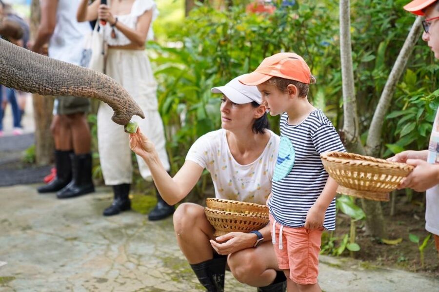 Phuket: Guided Tour to Elephant Sanctuary & Hotel Transfer - The guides make the difference