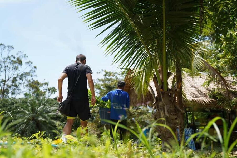 Phuket : Guided Tour to Elephant Sanctuary with Transfers - Walking through the forest with the elephants