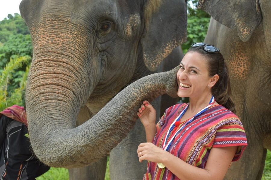 Phuket: Half Day or 2-Hour Ethical Elephant Care Sanctuary - Why the Thai cooking class earns its place