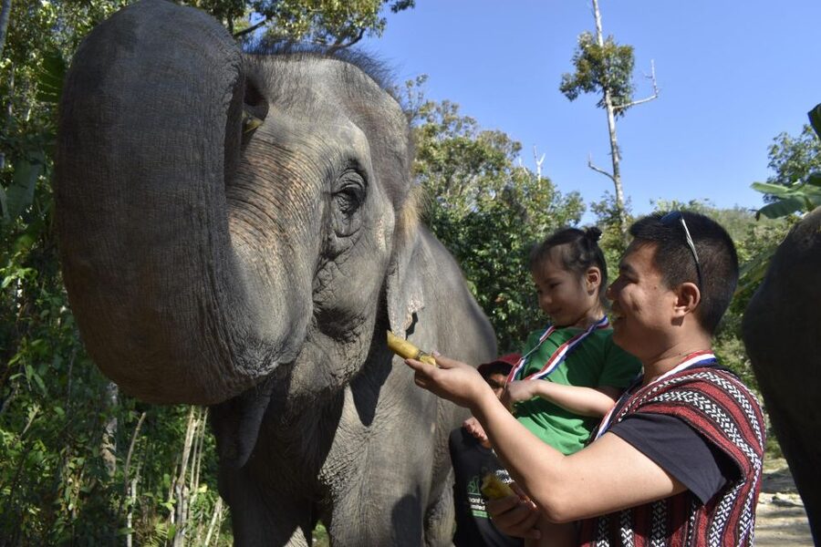 Phuket: Half Day or 2-Hour Ethical Elephant Care Sanctuary - Photos, lockers, and the practical side of bathing