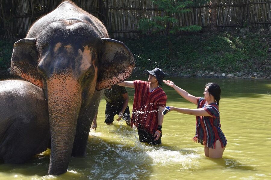 Phuket: Half Day or 2-Hour Ethical Elephant Care Sanctuary - Hotel transfers: the real timing question