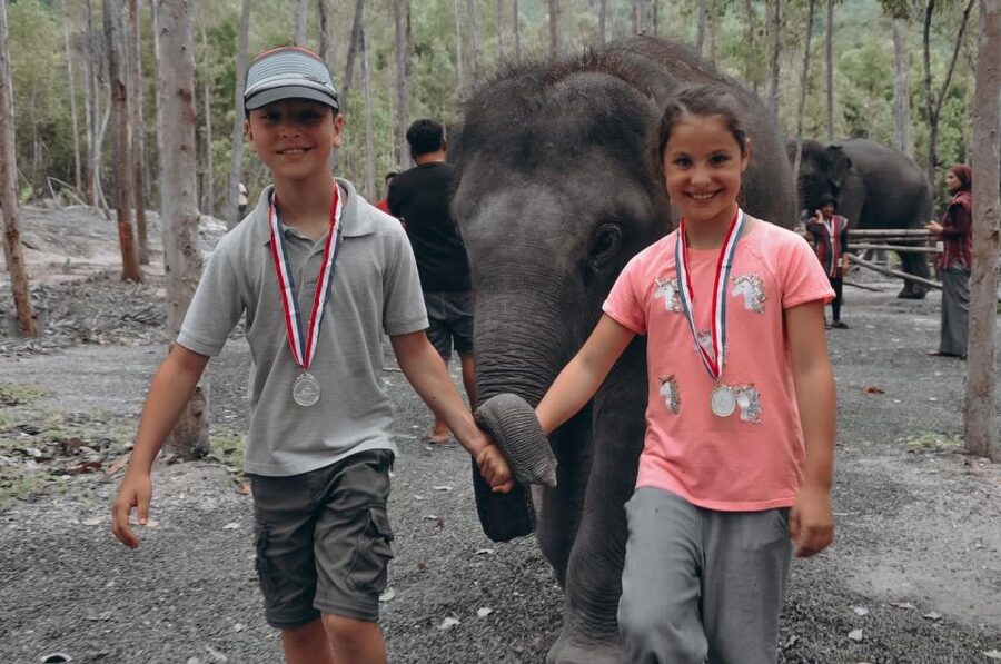 Phuket: Half Day or 2-Hour Ethical Elephant Care Sanctuary - Option A: the half-day feeding, mud spa, and bathing visit