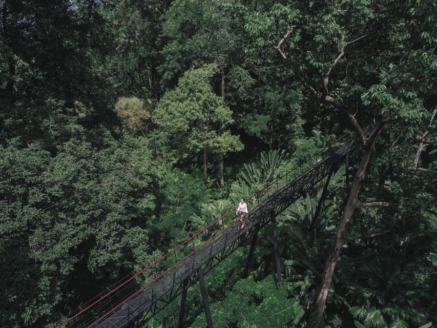 Phuket: Hanuman World Zip Line Adventure - Into the Phuket jungle, one platform at a time