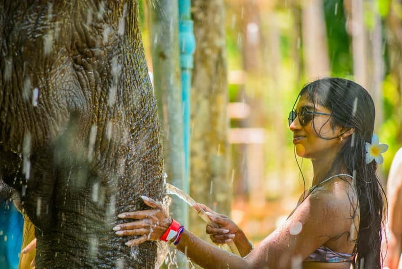 Phuket: Happy Hour Feed and Rain Shower with Elephant - Meeting the elephants at Lily Elephant Camp Phuket