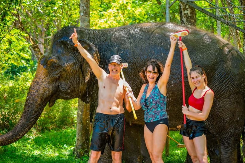 Phuket: Happy Hour Feed and Rain Shower with Elephant - The rain shower with the elephants