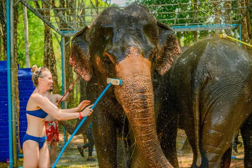 Phuket: Happy Hour Feed and Rain Shower with Elephant - Why the no-riding policy matters