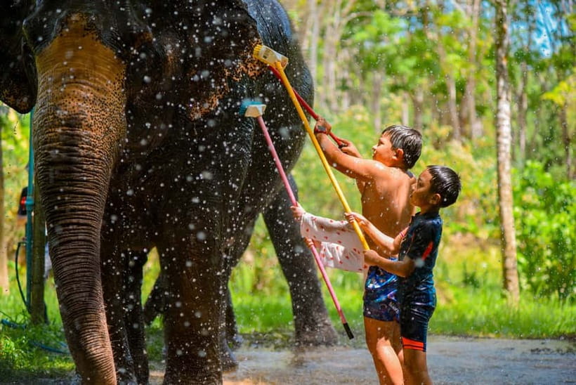 Phuket: Happy Hour Feed and Rain Shower with Elephant - What the $37 price covers