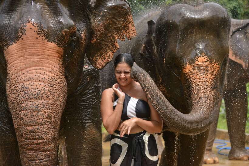 Phuket: Happy Hour Feed and Rain Shower with Elephant - Timing, transport, and the location problem