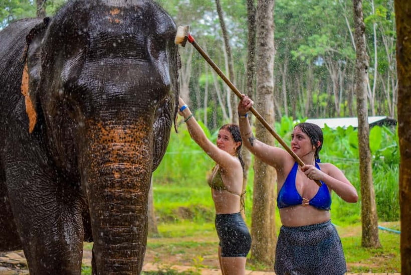 Phuket: Happy Hour Feed and Rain Shower with Elephant - Who will enjoy this Phuket elephant visit