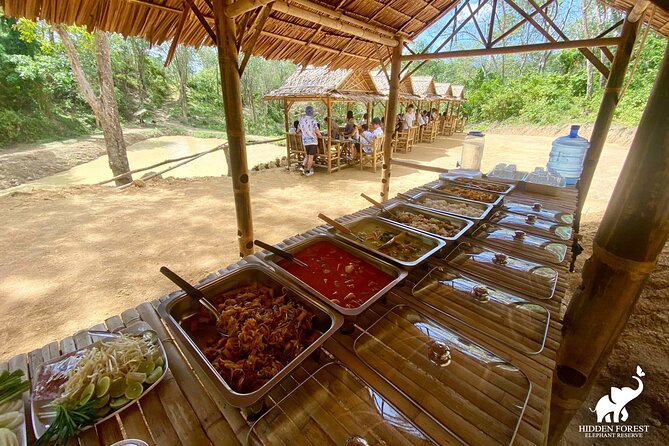 Phuket: Hidden Forest Elephant Reserve Guided Tour with Lunch - Following elephants instead of a fixed route