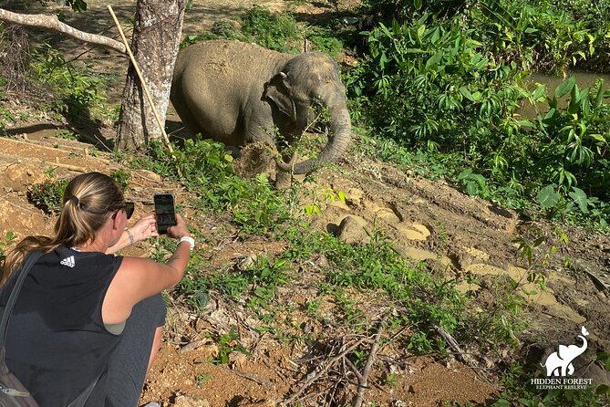 Phuket: Hidden Forest Elephant Reserve Guided Tour with Lunch - Thai buffet lunch with the elephants nearby