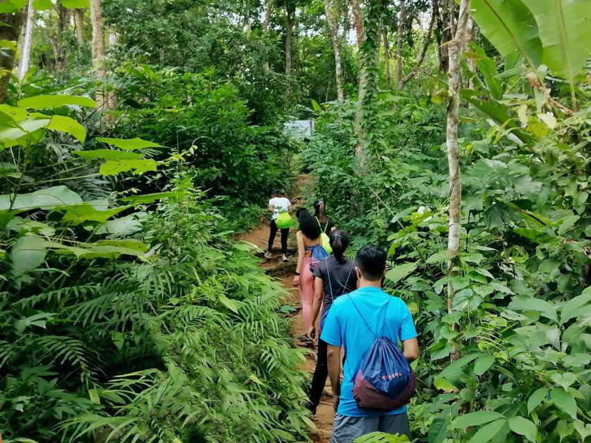 Phuket: Hiking to Sunrise - What $64 really gets you