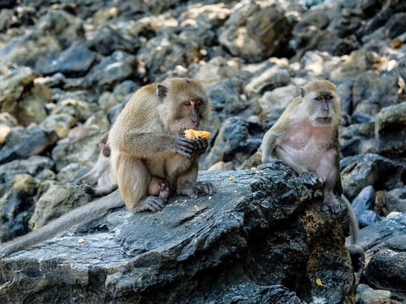 Phuket: James Bond Island Sea Canoe with lunch by Big Boat - Key details before you book