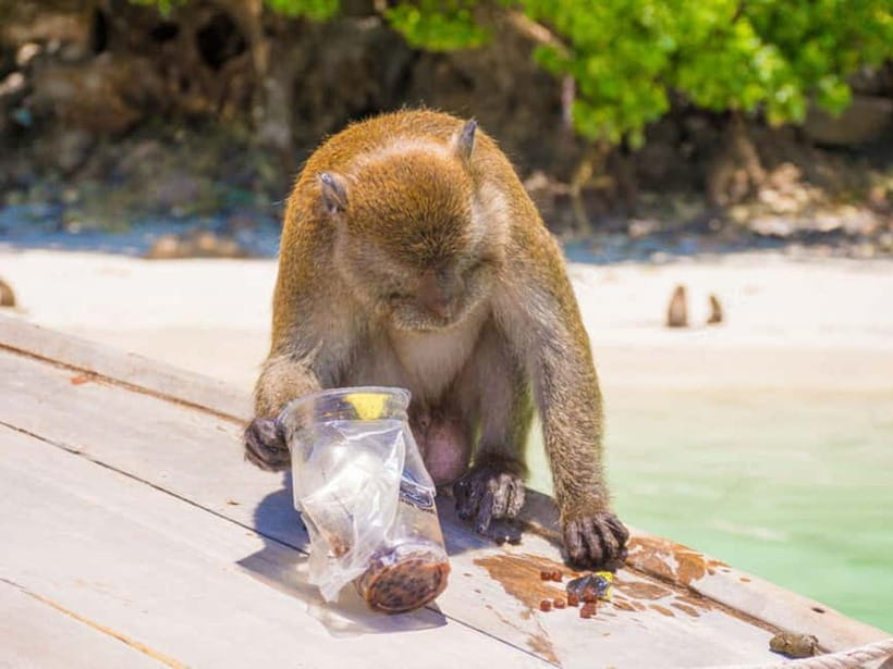 Phuket: James Bond Island Sea Canoe with lunch by Big Boat - Panak Island and the cave passage