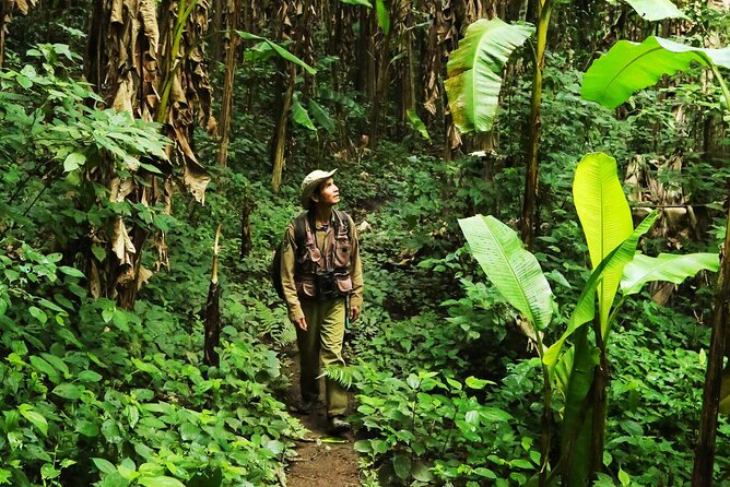 Phuket Jungle Trekking Experience at Khao Phra Taew National Park - Key points before you book