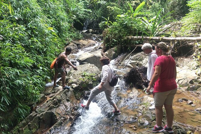 Phuket Jungle Trekking Experience at Khao Phra Taew National Park - Why Khao Phra Taew feels different from beachside Phuket