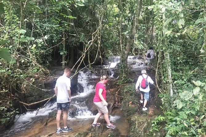 Phuket Jungle Trekking Experience at Khao Phra Taew National Park - Wildlife spotting without false promises