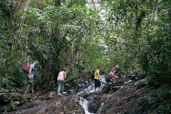 Phuket Jungle Trekking Experience at Khao Phra Taew National Park - Tonsai Waterfall and the jungle shower
