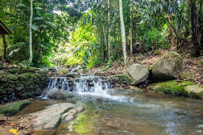 Phuket Jungle Trekking Experience at Khao Phra Taew National Park - What the $82.29 price really covers