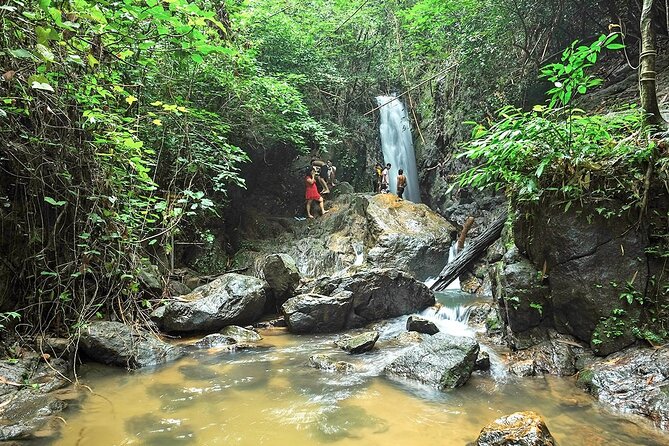 Phuket Jungle Trekking Experience at Khao Phra Taew National Park - Who will enjoy this hike, and who should skip it