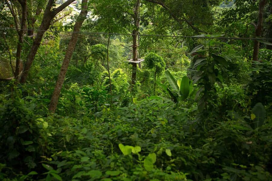 Phuket: Jungle Xtreme Adventure Park Entry Ticket - Who should book this Phuket adventure?