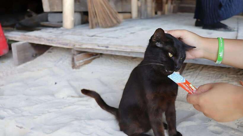 Phuket: Khai Nok, Khai Nai, and Khai Nui Island Day Trip - Why this short trip works so well