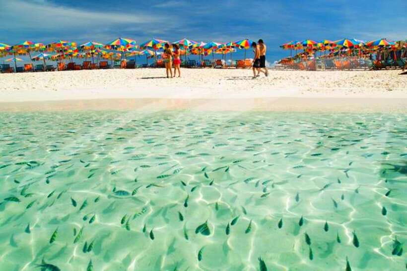 Phuket: Khai Nok, Khai Nai, and Khai Nui Island Day Trip - Who should book this island trip?