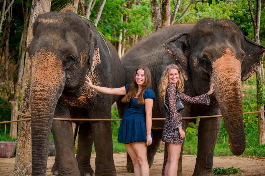 Phuket: Make & Meet The Gentle Giant Experience - Key Points at a Glance