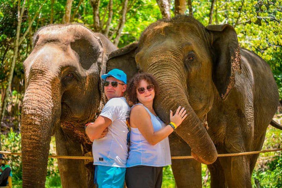 Phuket: Make & Meet The Gentle Giant Experience - What This Elephant Activity Is Really About