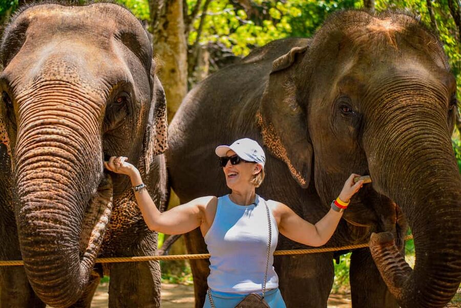 Phuket: Make & Meet The Gentle Giant Experience - The Animal Welfare Question