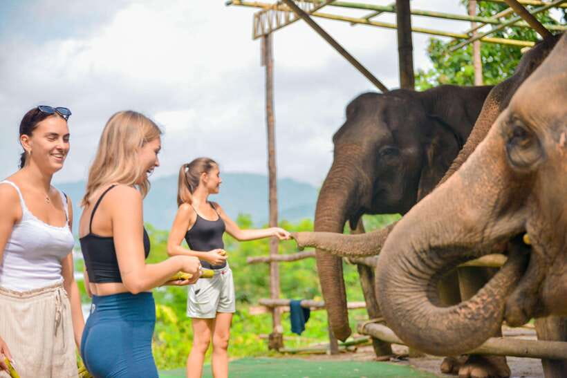 Phuket: Make & Meet The Gentle Giant Experience - Who Will Enjoy This Most?