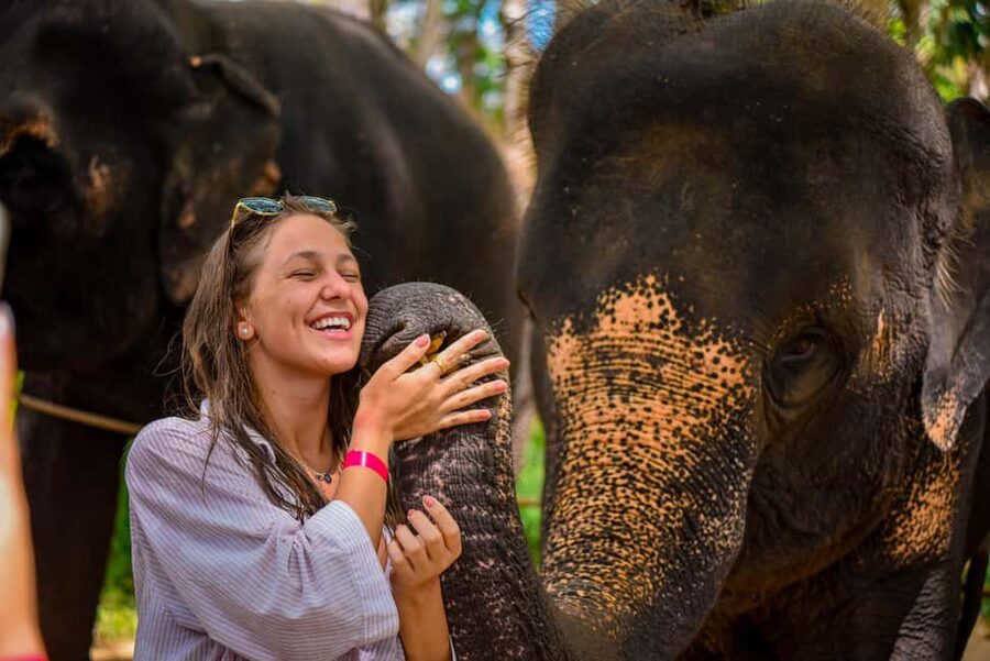 Phuket: Make & Meet The Gentle Giant Experience - What to Bring and How to Prepare