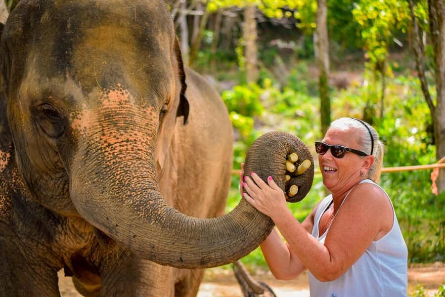 Phuket: Make & Meet The Gentle Giant Experience - Mixing Sticky Rice, Bananas, Tamarind, and Vitamins