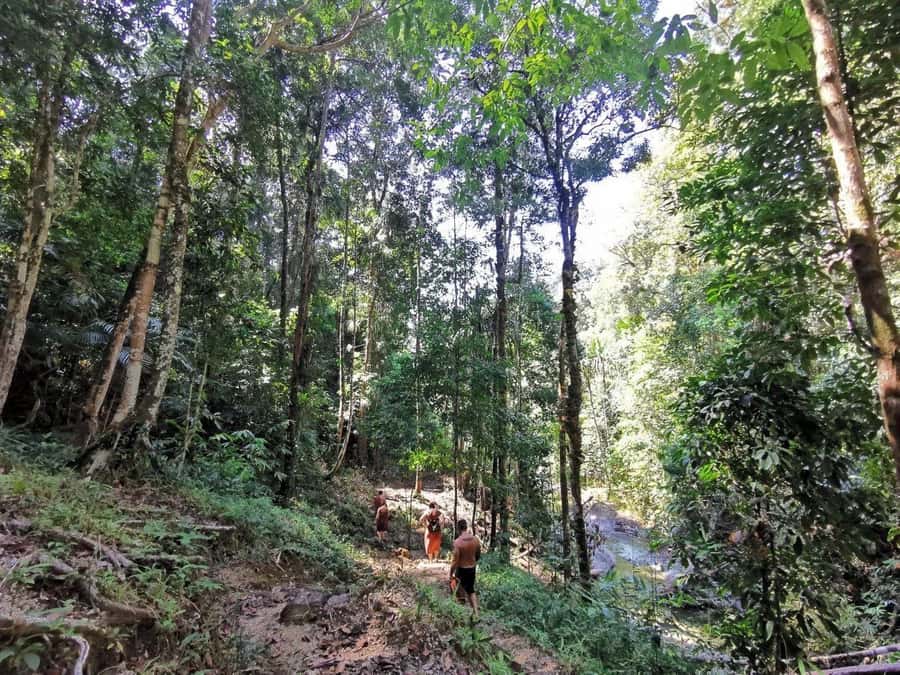 Phuket: Monkey Cave, Water Rafting, Zipline with ATV Option - Who should book this Phuket adventure?