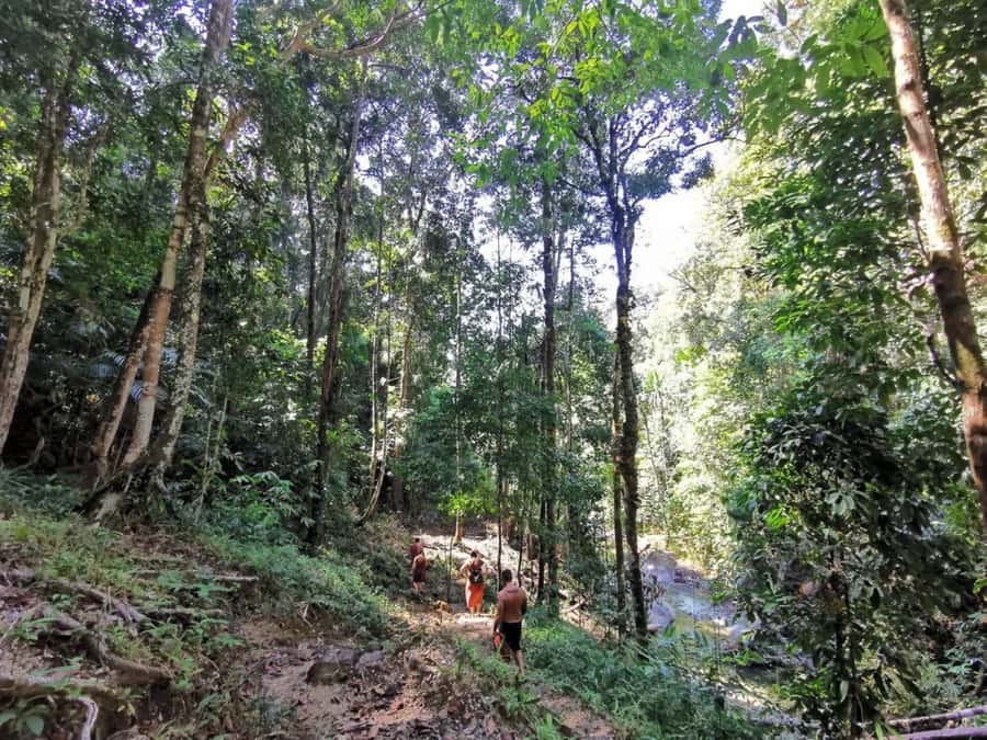 Phuket: Monkey Cave, Water Rafting, Zipline with ATV Option - Should you book it?
