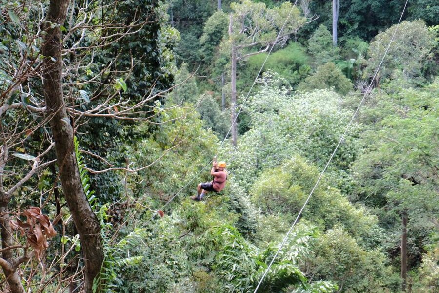 Phuket: Paradise Jungle Zipline Adventure - The first lines through the Thai jungle