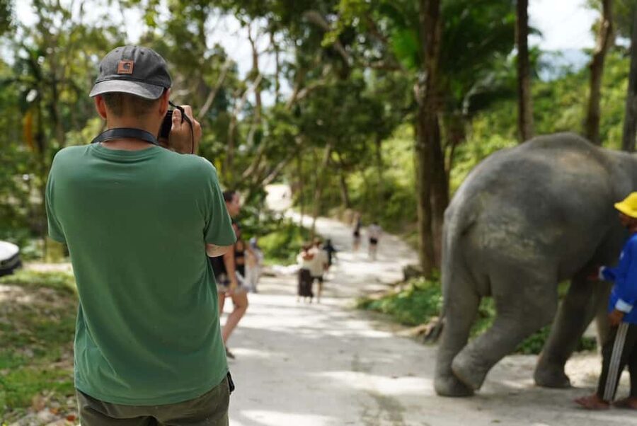 Phuket: Patong Elephant Sanctuary Observe & Learn Experience - Feeding and touching: what may happen