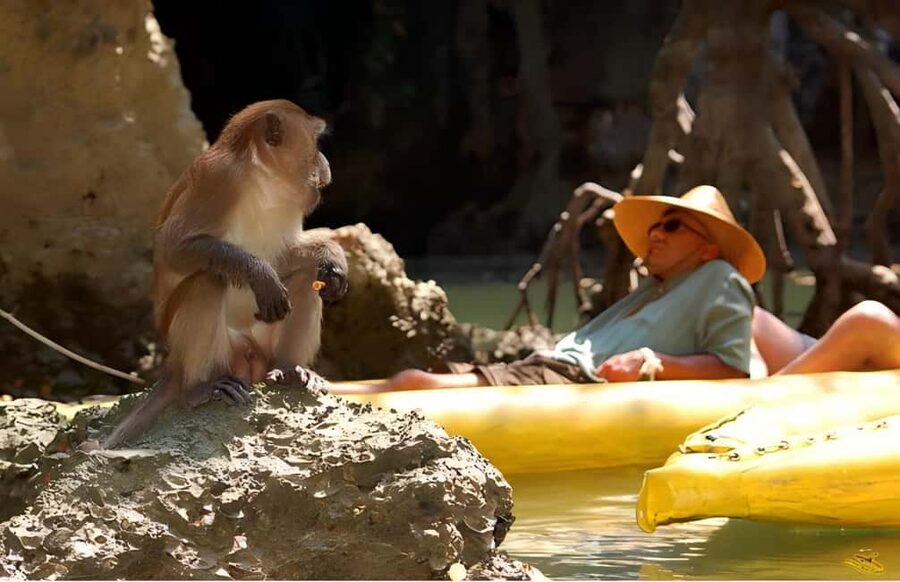 Phuket: Phang Nga,Hong & James Bond Islands by Big Boat - Panak Island brings caves and strange rock shapes