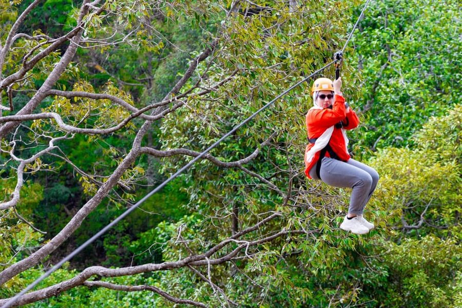 Phuket: Rainforest Eco Zipline Expedition - Ziplines, sky bridges, and abseils