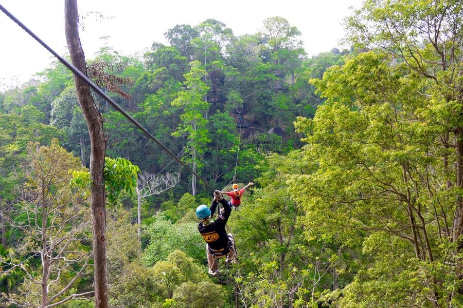 Phuket: Rainforest Eco Zipline Expedition - What the strong score tells you, and what it does not