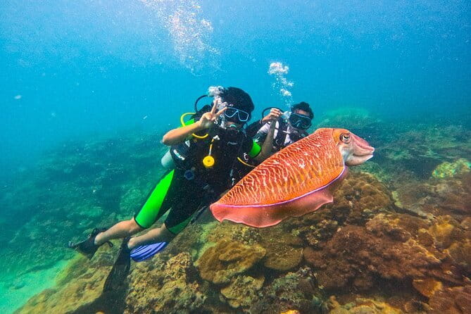 Phuket Scuba Diving Maiton Private Island Small Group or Snorkel - Key points to know before you book